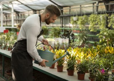 Seasonal Garden Cleanup