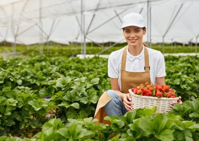 Smart Irrigation Installation