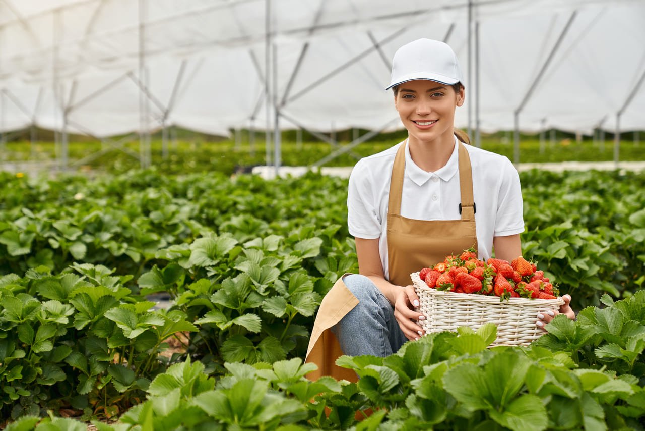 LawnPro – Gardening & Landscaping Divi Child Theme Image 39