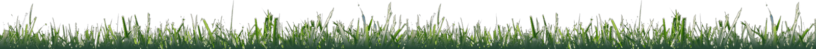 landscape-maintenance-37